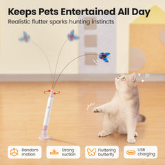 Potaroma gros plan sur papillon pour attirer le chat et varier les textures