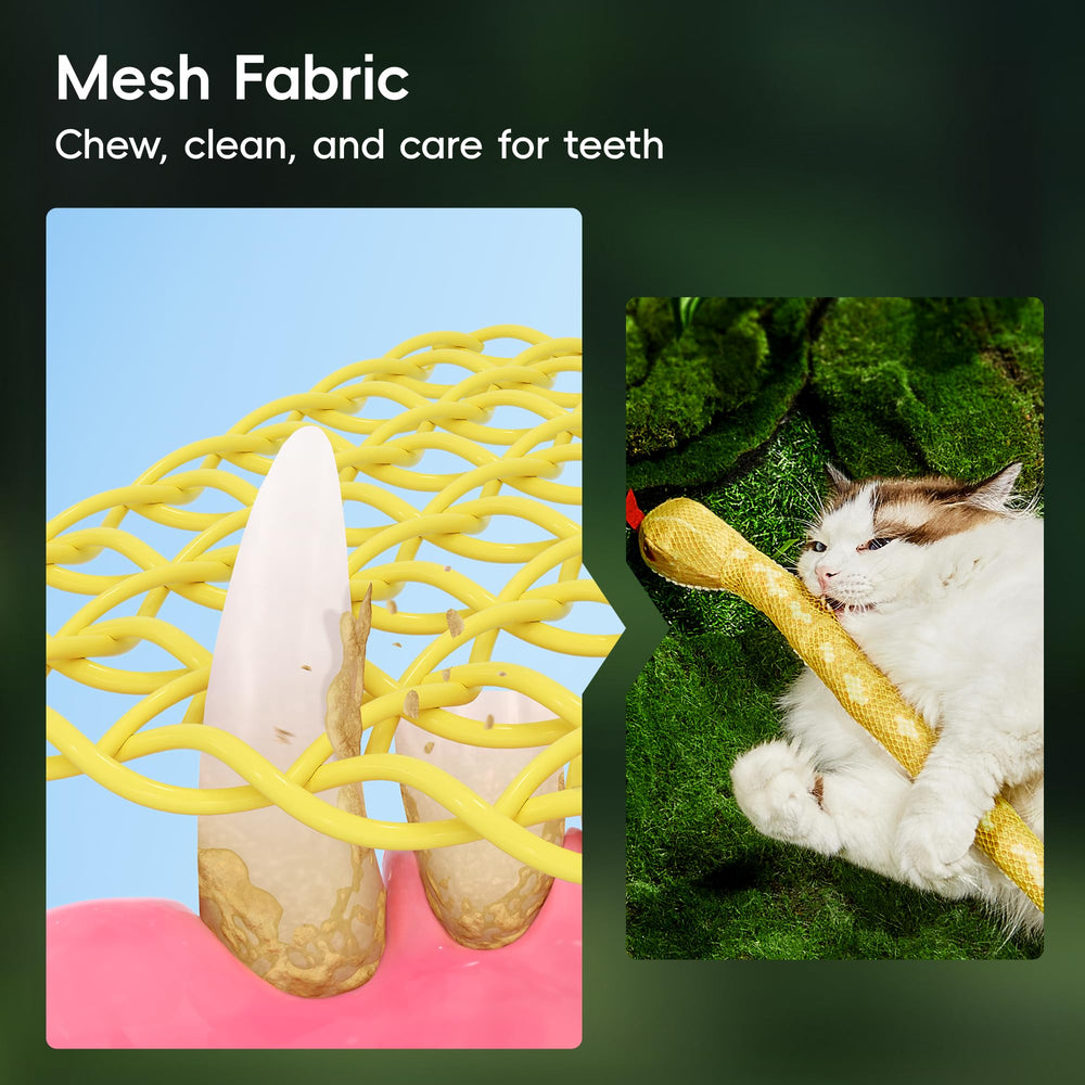Potaroma vue du remplissage en herbe à chat biologique stimulant le jeu