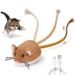 Potaroma souris avant montrant forme réaliste et attrait pour le jeu
