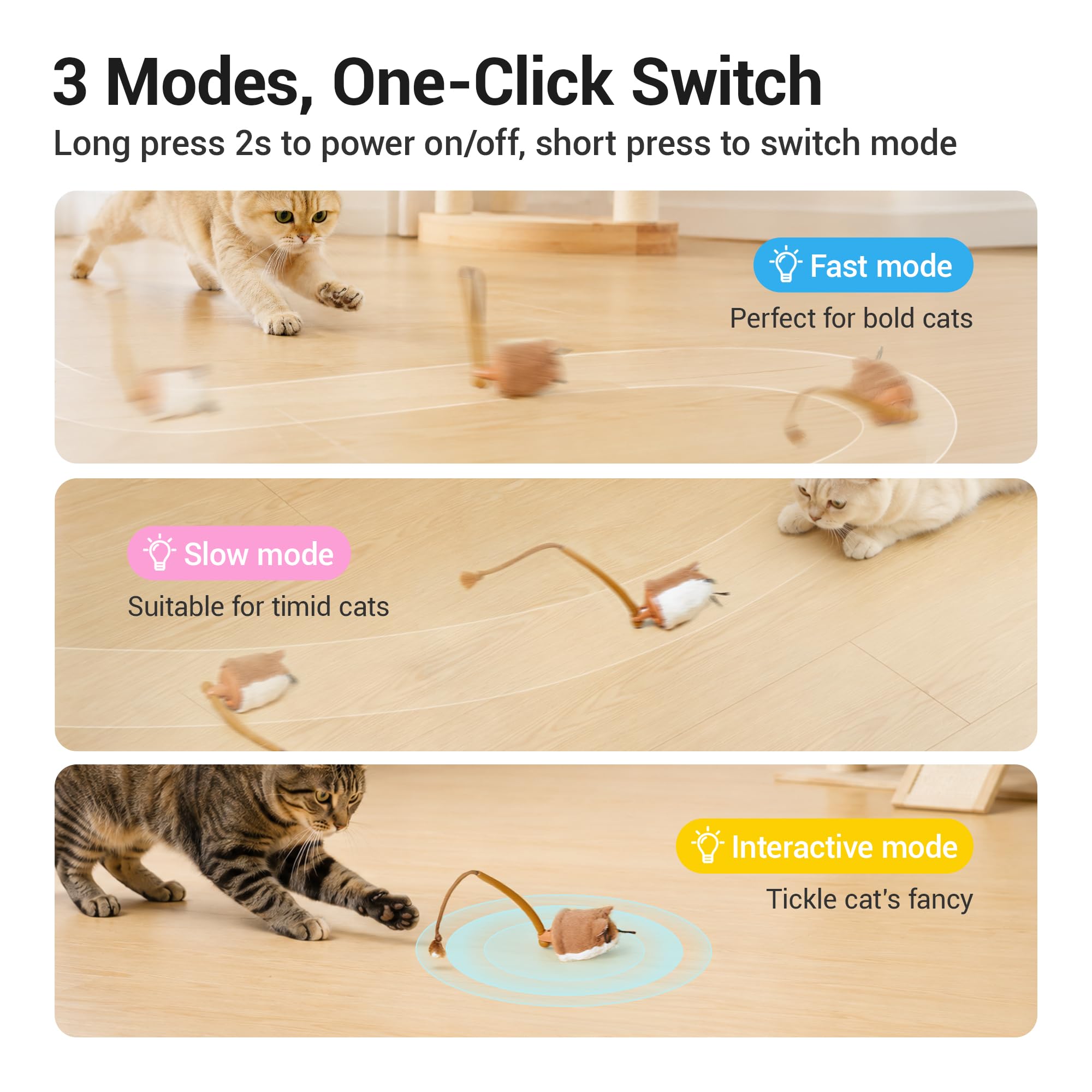 Potaroma souris en action sur parquet encourage exercice et poursuite