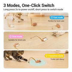 Potaroma souris en action sur parquet encourage exercice et poursuite