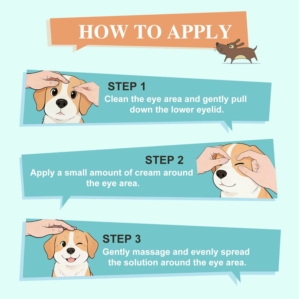 Powerhugs application sur un chien illustrant un soin apaisant