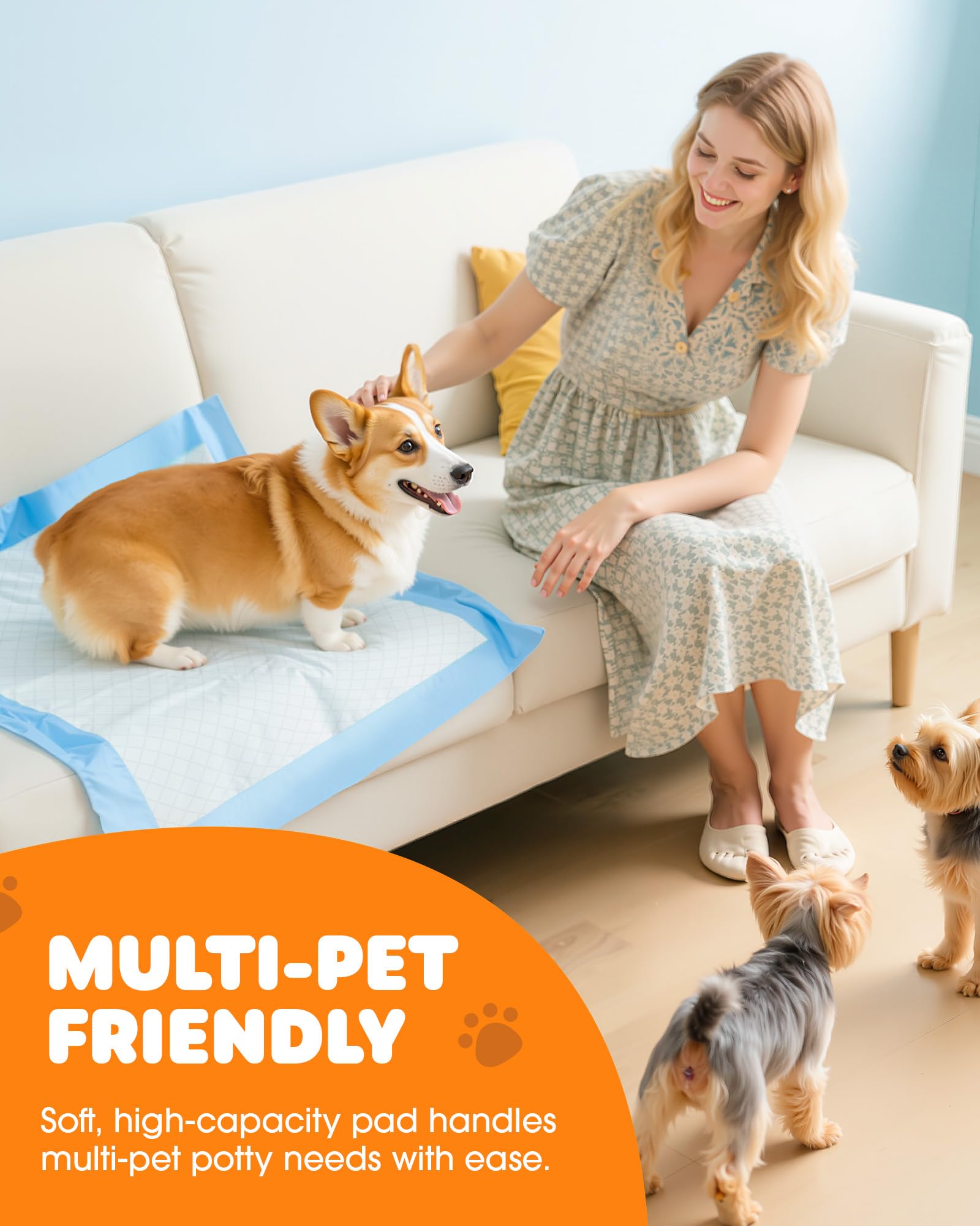 Powools pattes de chien sèches après utilisation du pad absorbant