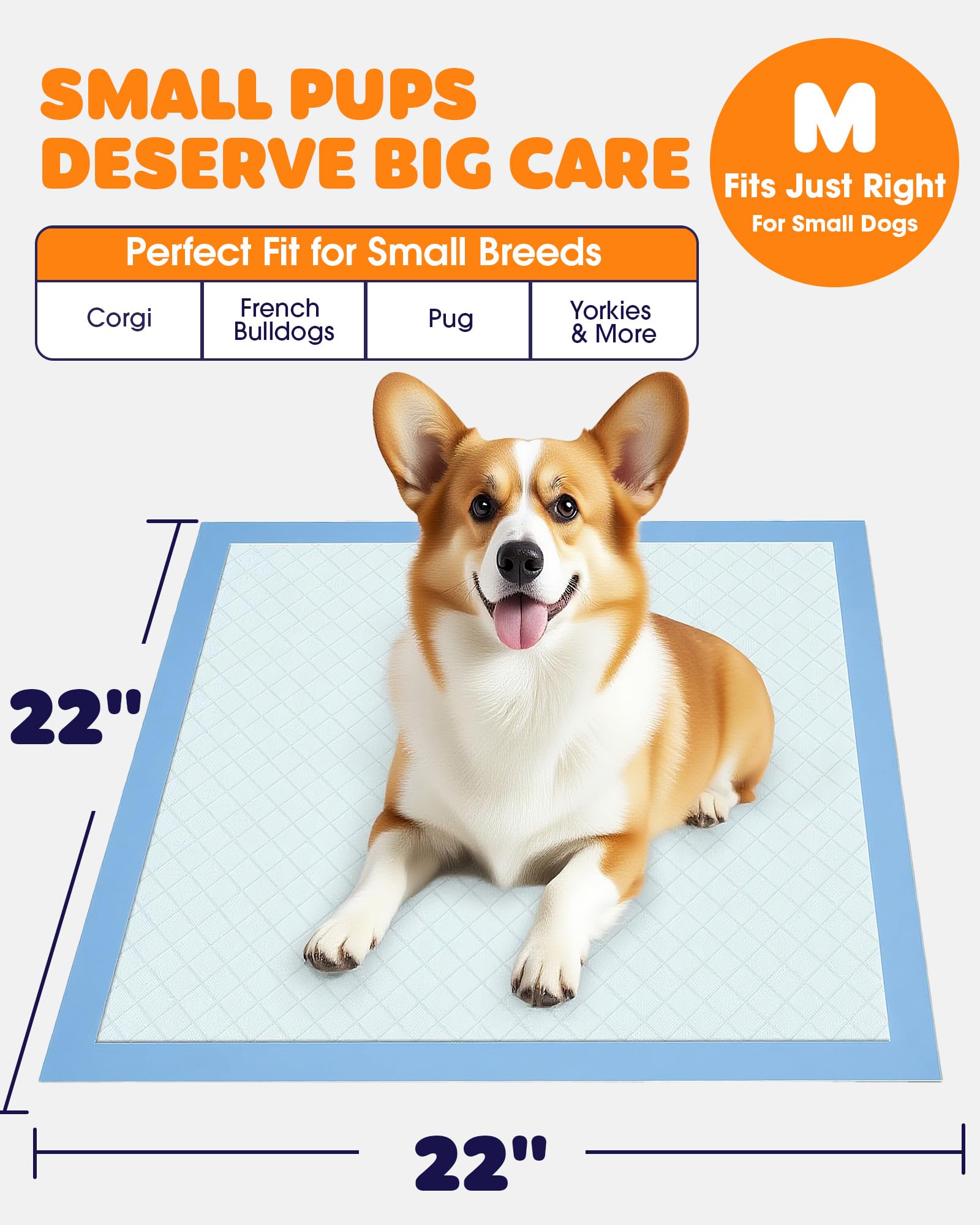 Powools gros plan pli du pad montrant surface douce et protection