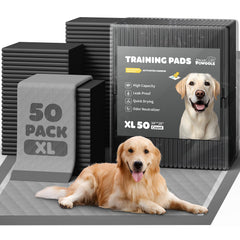 Powools vue du packaging du pack de 50 pour rangement facile