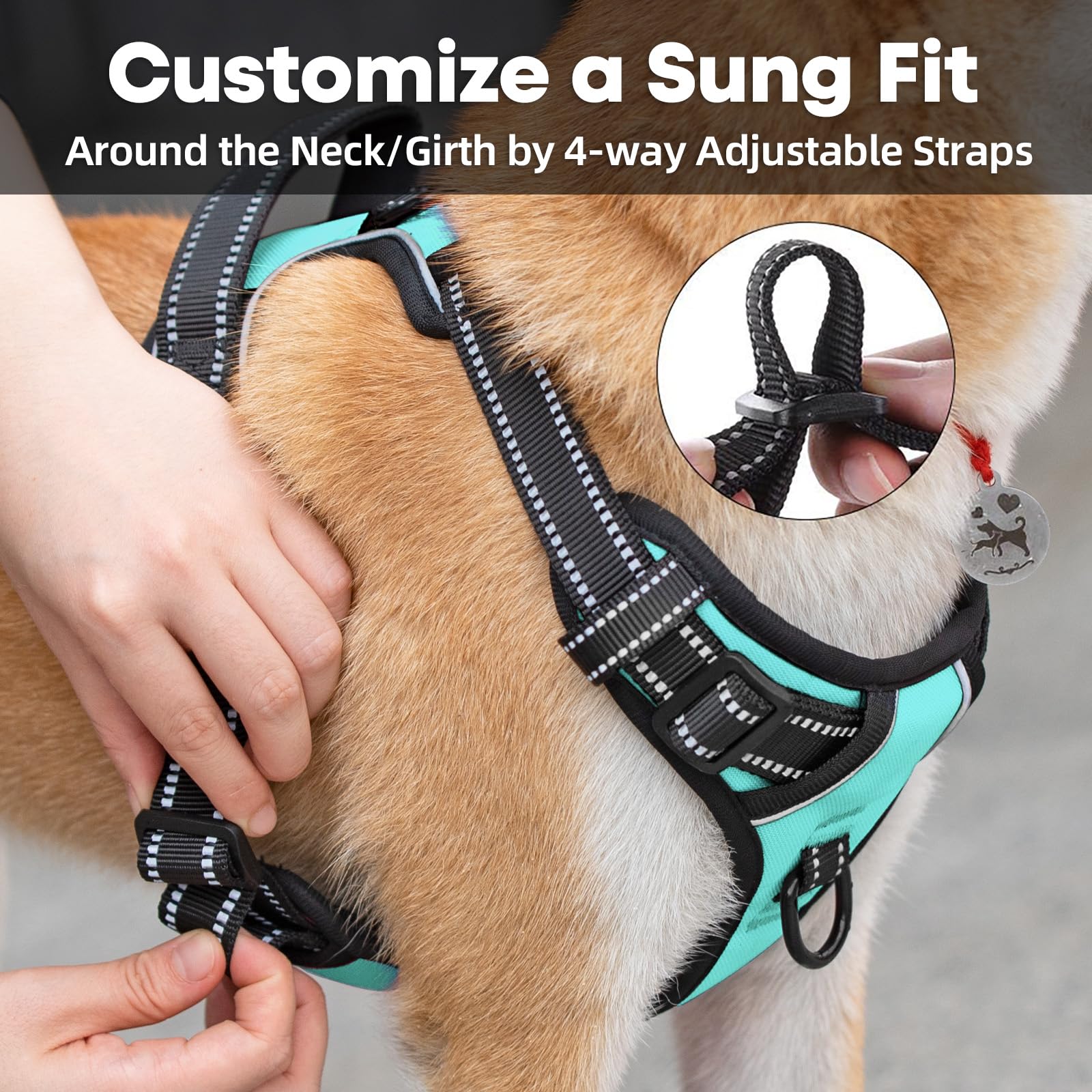 PoyPet harnais clip frontal visible pour réduire la traction du chien