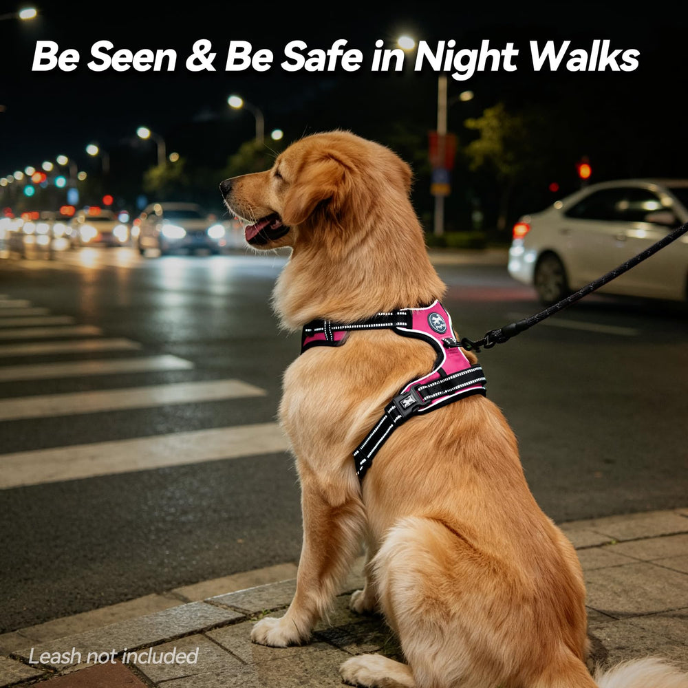 PoyPet harnais coutures réfléchissantes augmentant visibilité et sécurité nocturne
