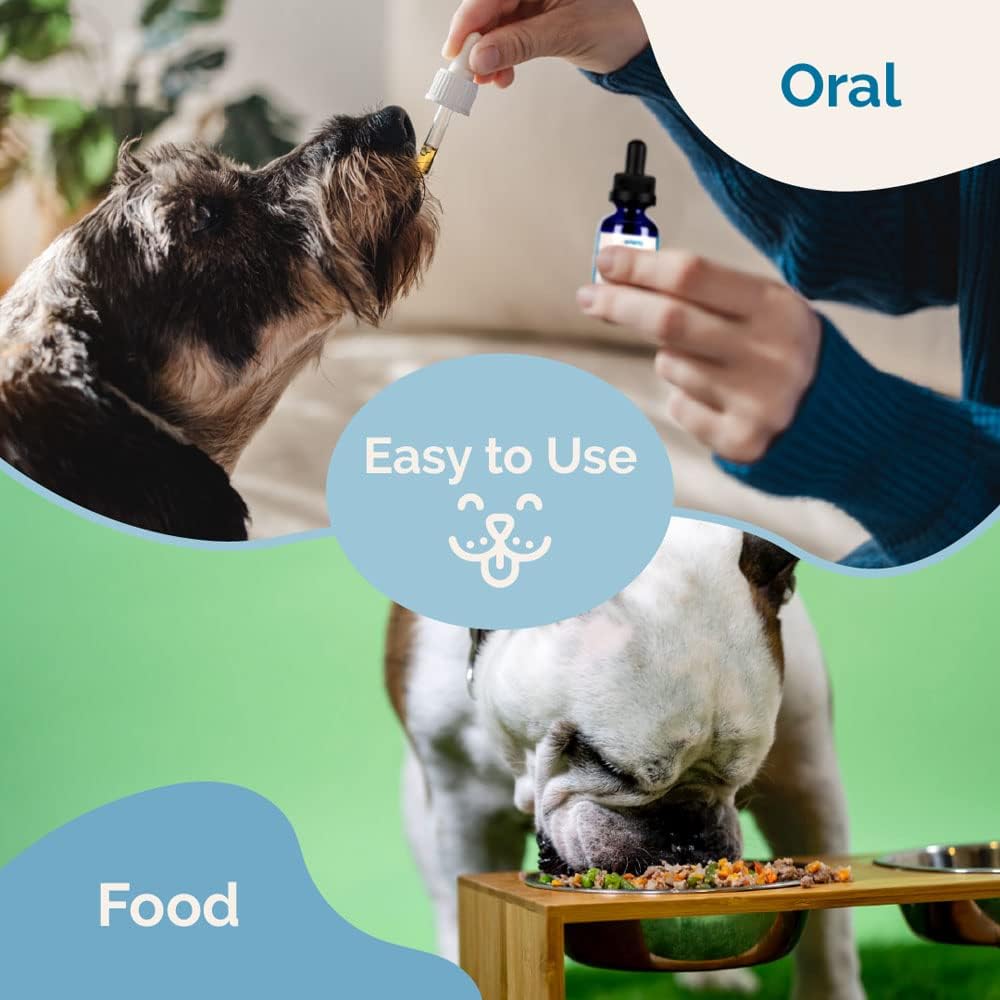 PranaPets chien détendu en lifestyle indiquant confort et bien‑être