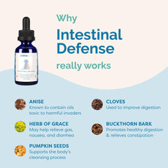 PranaPets gouttes mélangées à la nourriture pour acceptation par l’animal