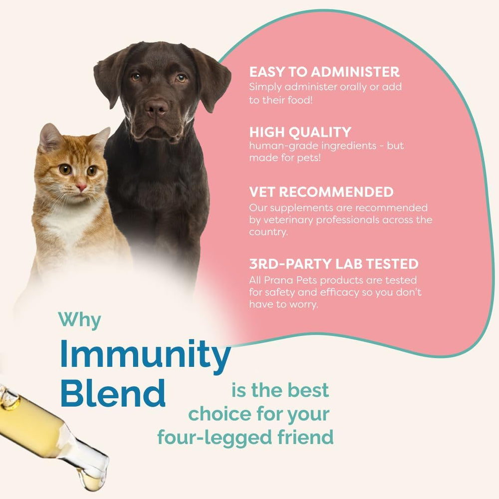 PranaPets administration sur chien montrant confort et application pratique