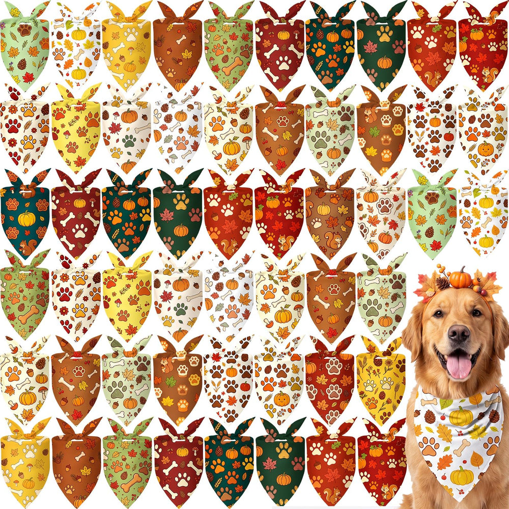 Preboun packaging avant montrant le lot de 50 bandanas et avantages pratiques