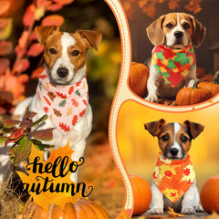 Preboun chien portant bandana affichant confort et style saisonnier
