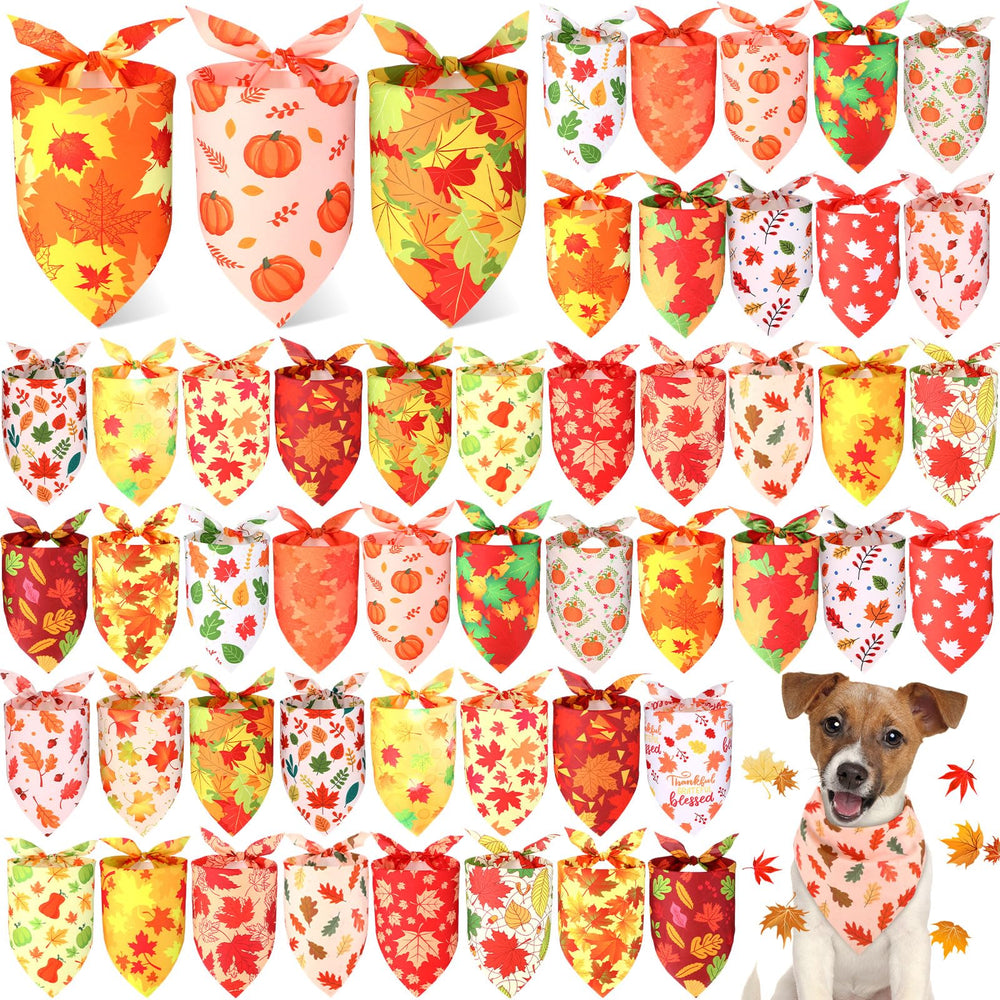 Preboun vue avant du lot de 50 bandanas automne pour organisation facile