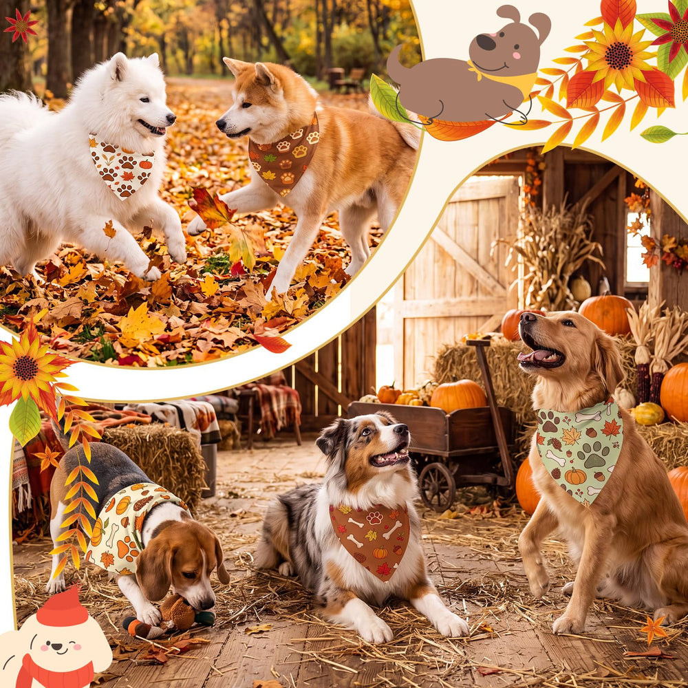 Preboun bandana en situation fête d'Halloween, met l'animal en valeur
