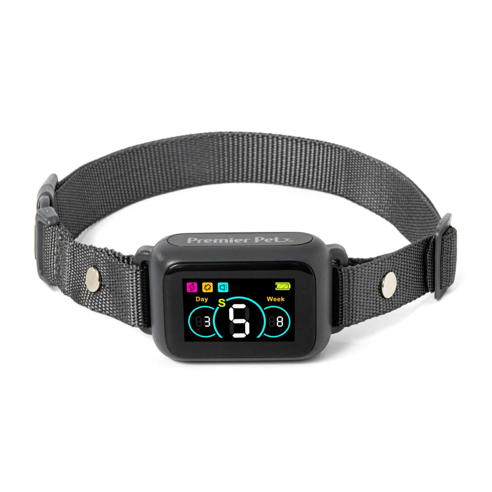 Premier Pet vue avant du collier montrant design et contrôle — confort et précision