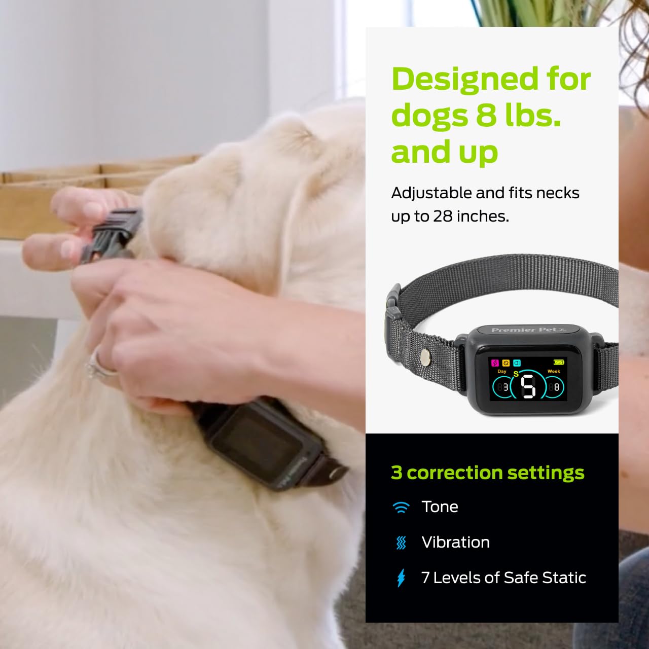 Premier Pet sangle nylon réglable jusqu'à 28 pouces pour ajustement parfait