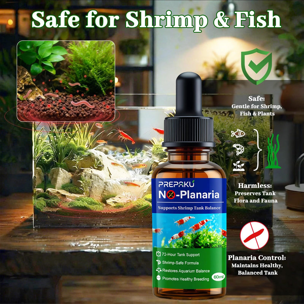 PREPAKU mise en scène aquascape montrant intégration esthétique du produit