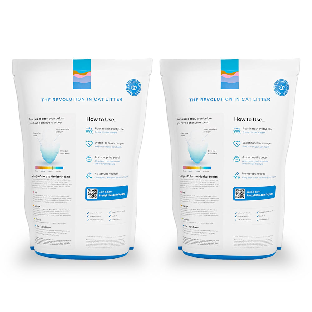 PrettyLitter gros plan des granules en gel montrant absorption efficace