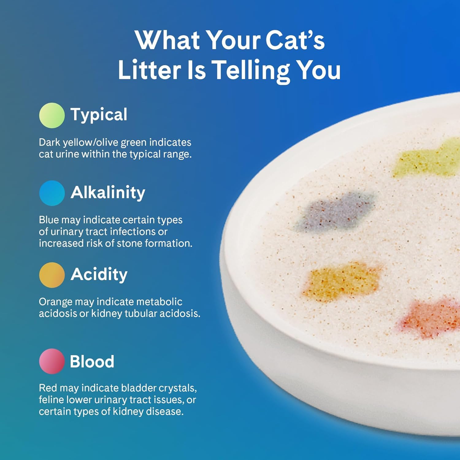 PrettyLitter deux sacs stockés montrant approvisionnement pratique