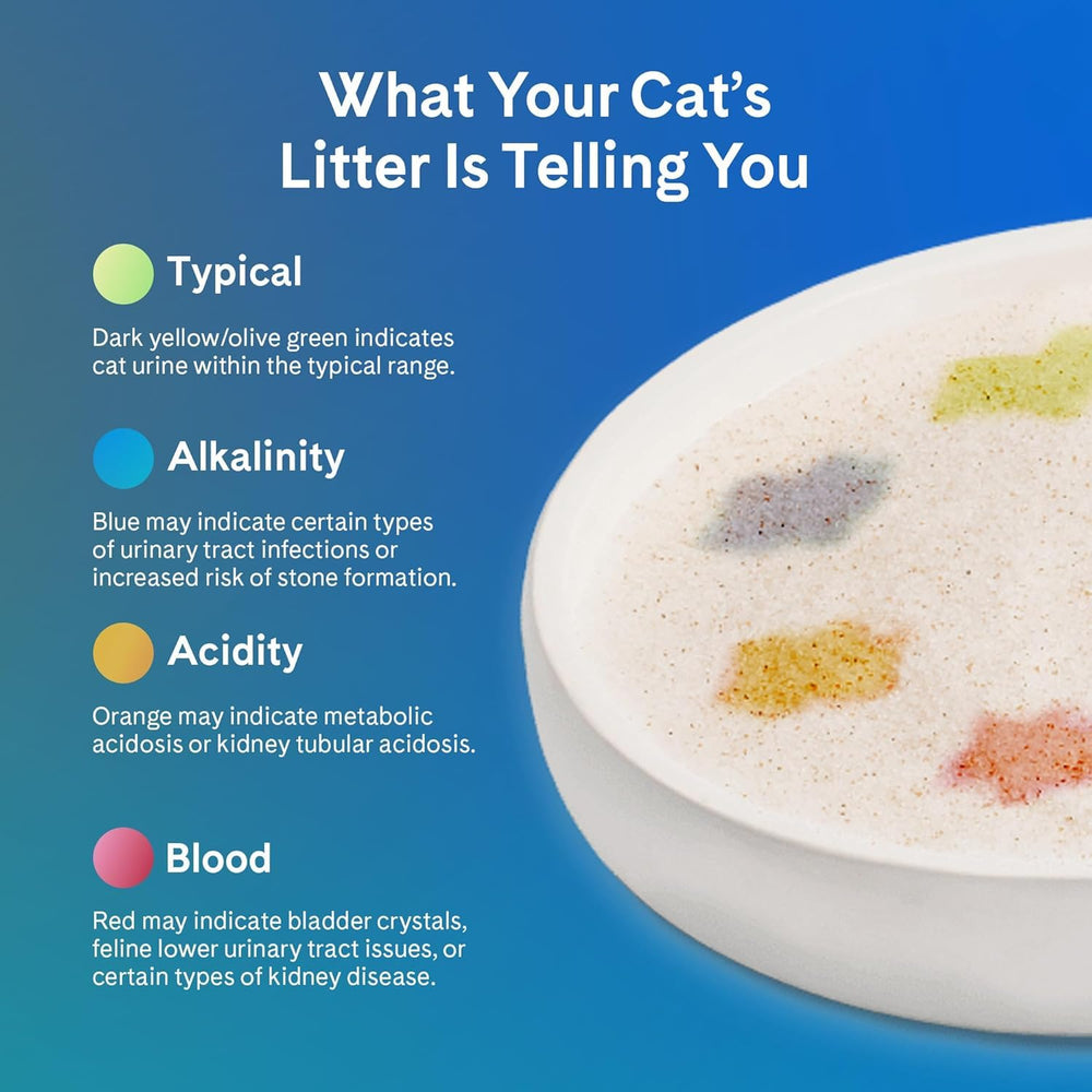 PrettyLitter deux sacs stockés montrant approvisionnement pratique