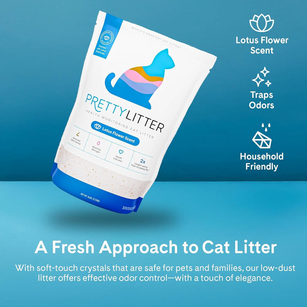 PrettyLitter chat utilisant la litière montrant confort et facilité d'entretien