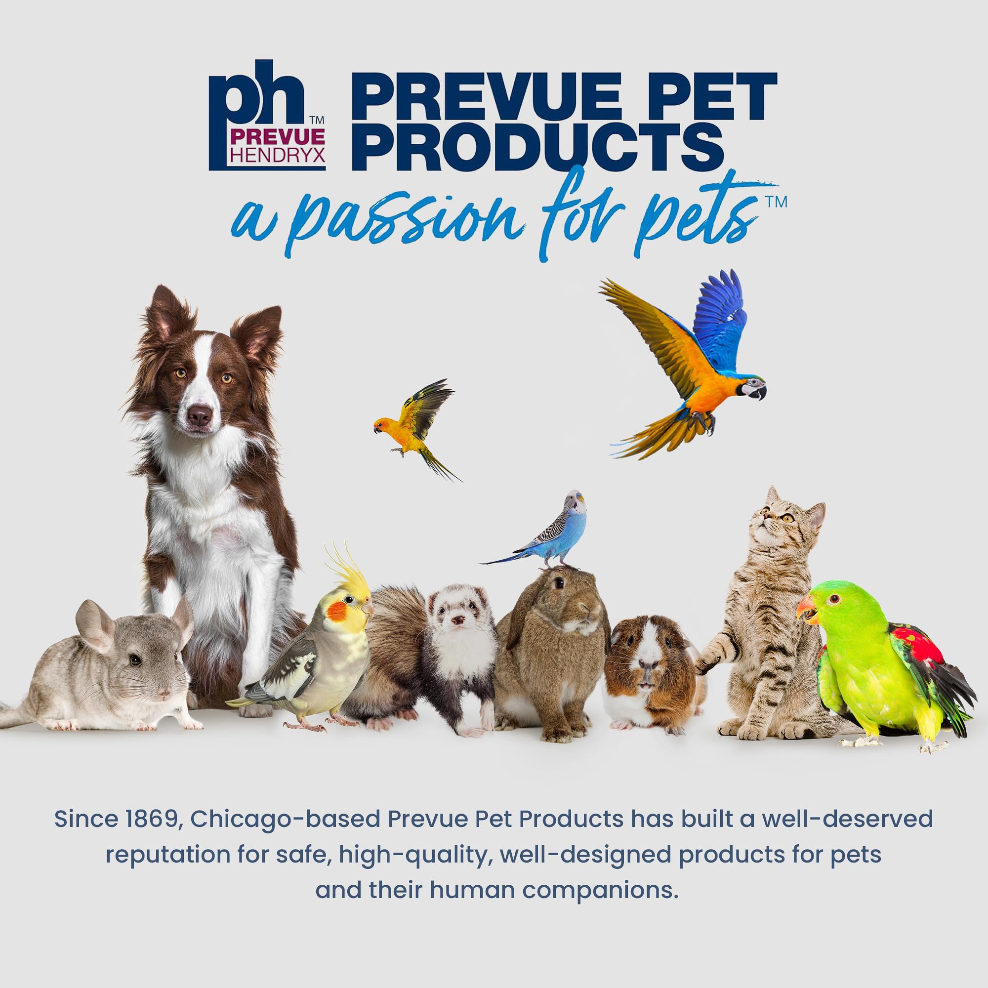 Prevue cage installée sur support 1781 stabilité et présentation