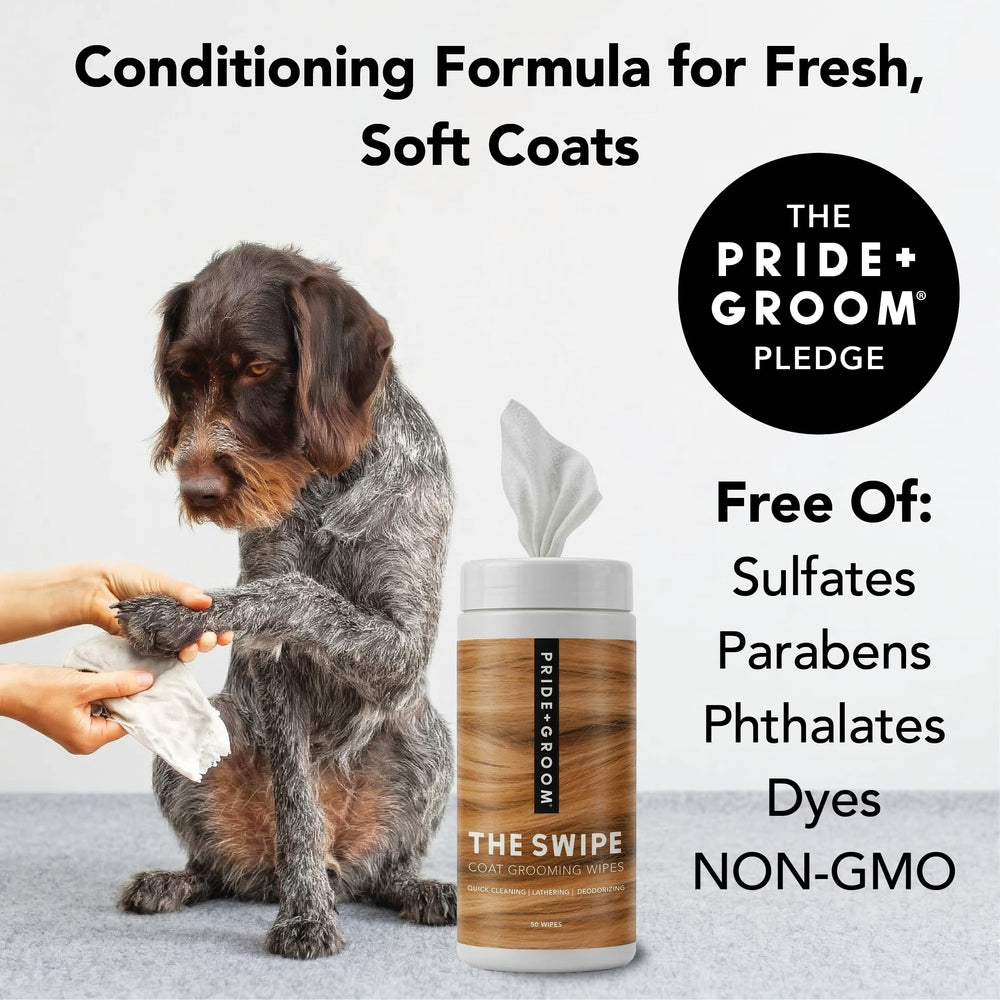 Pride and Groom lingette nettoyant visage de chat pour confort apaisé