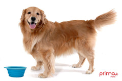 Prima Pets gros plan silicone alimentaire facile à nettoyer