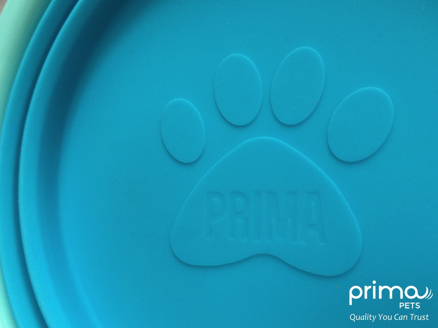 Prima Pets comparaison taille avec une main montrant dimensions