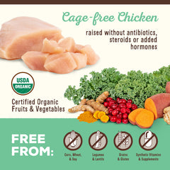 Primal détail du poulet et foie, visible qualité et nutrition