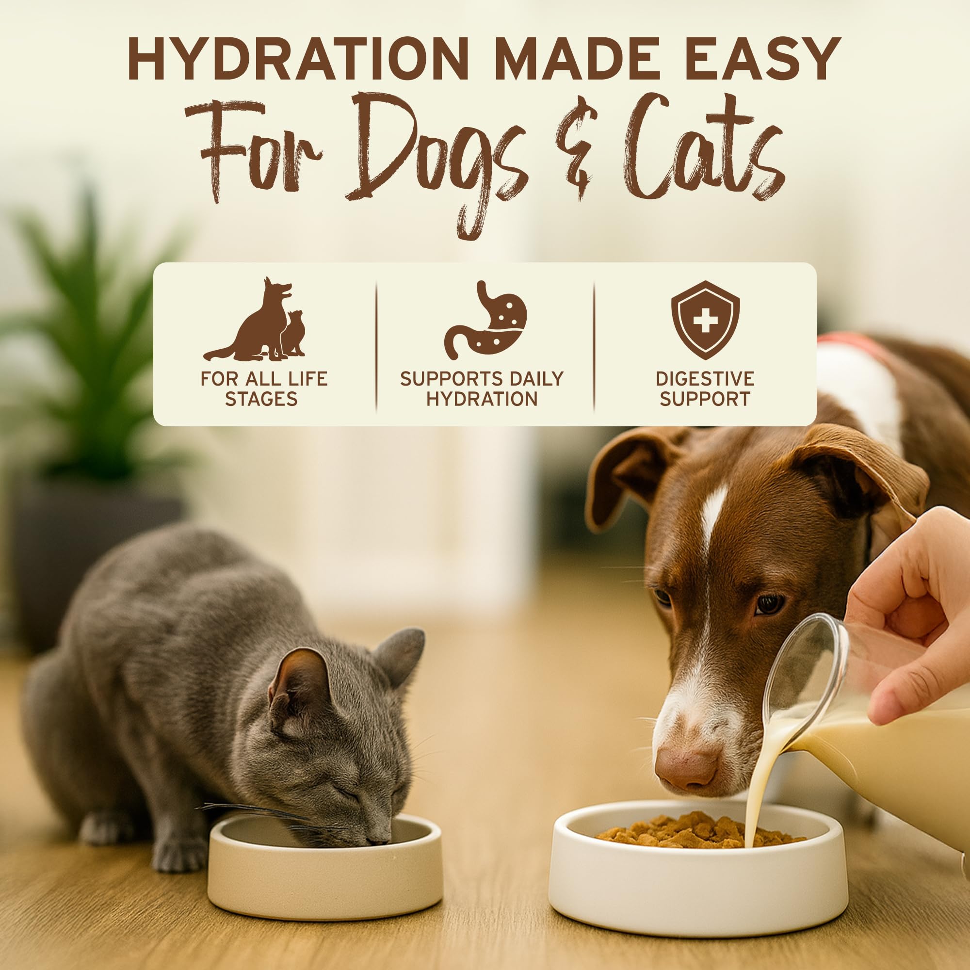Primal chien ou chat buvant le lait réconstitué pour réhydratation