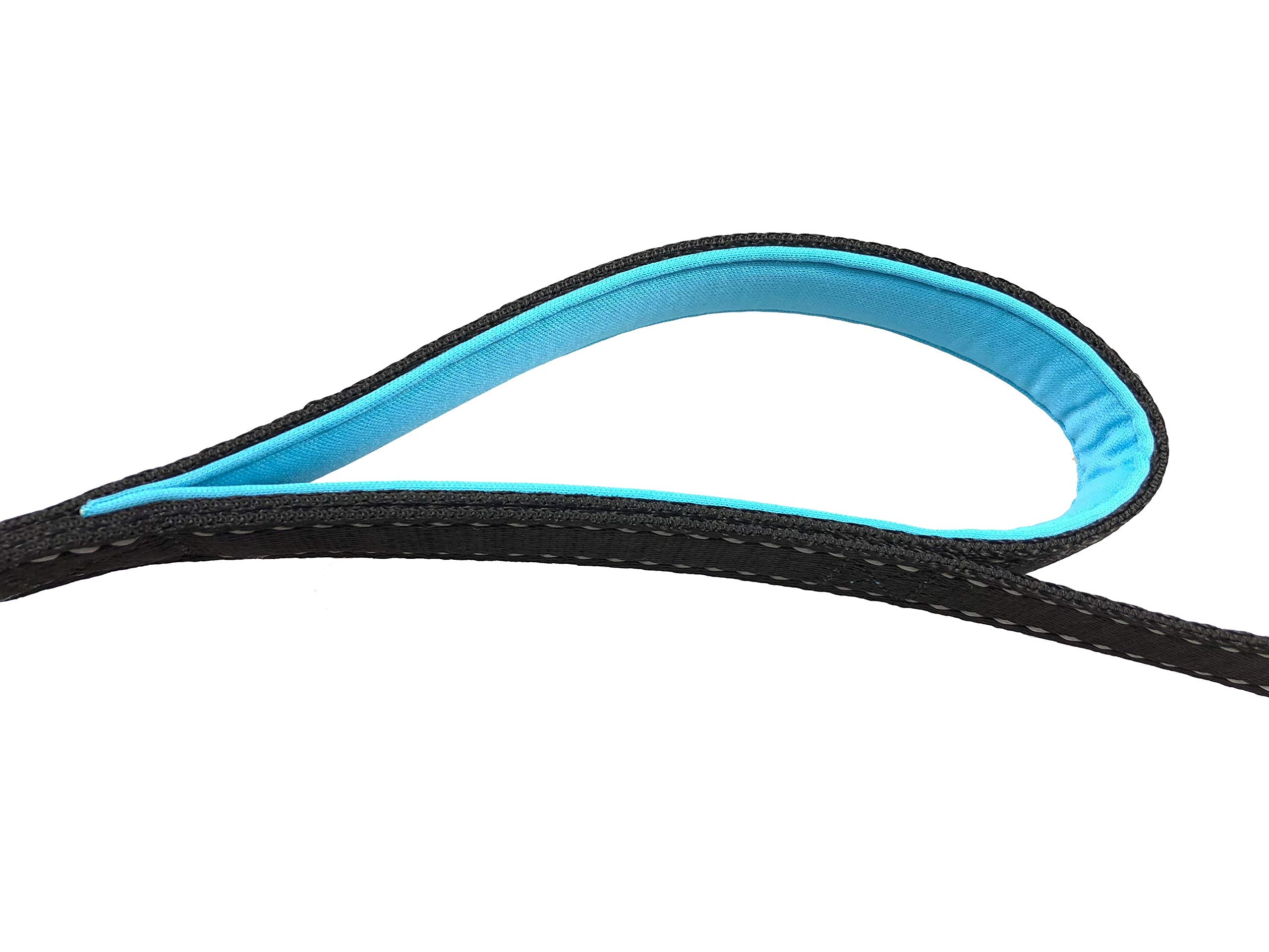 Primal Pet Gear laisse en usage lors d’une promenade, contrôle et liberté combinés