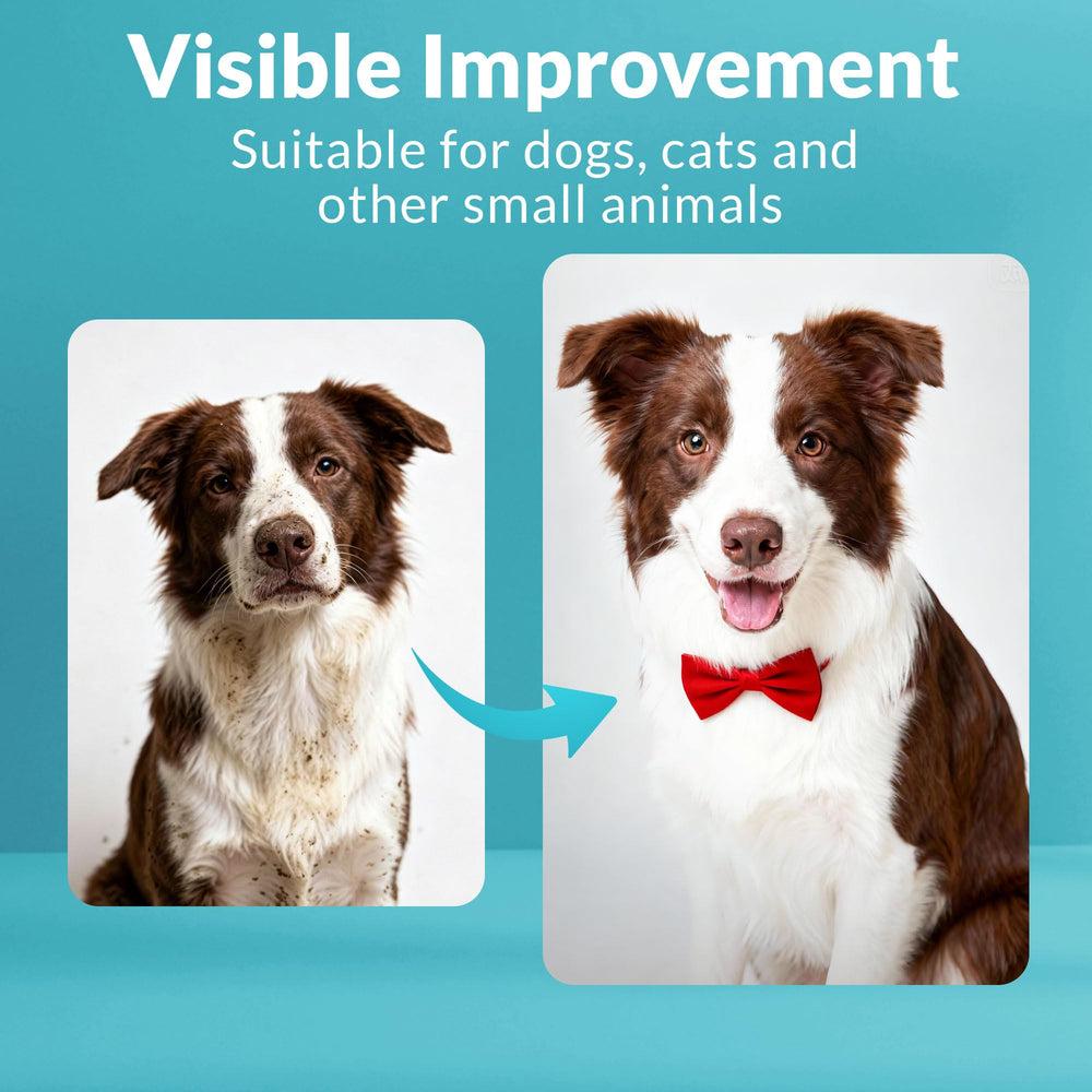 PrimePets six paquets empilés montrant contenu total de 600 lingettes, bon rapport qualité-prix