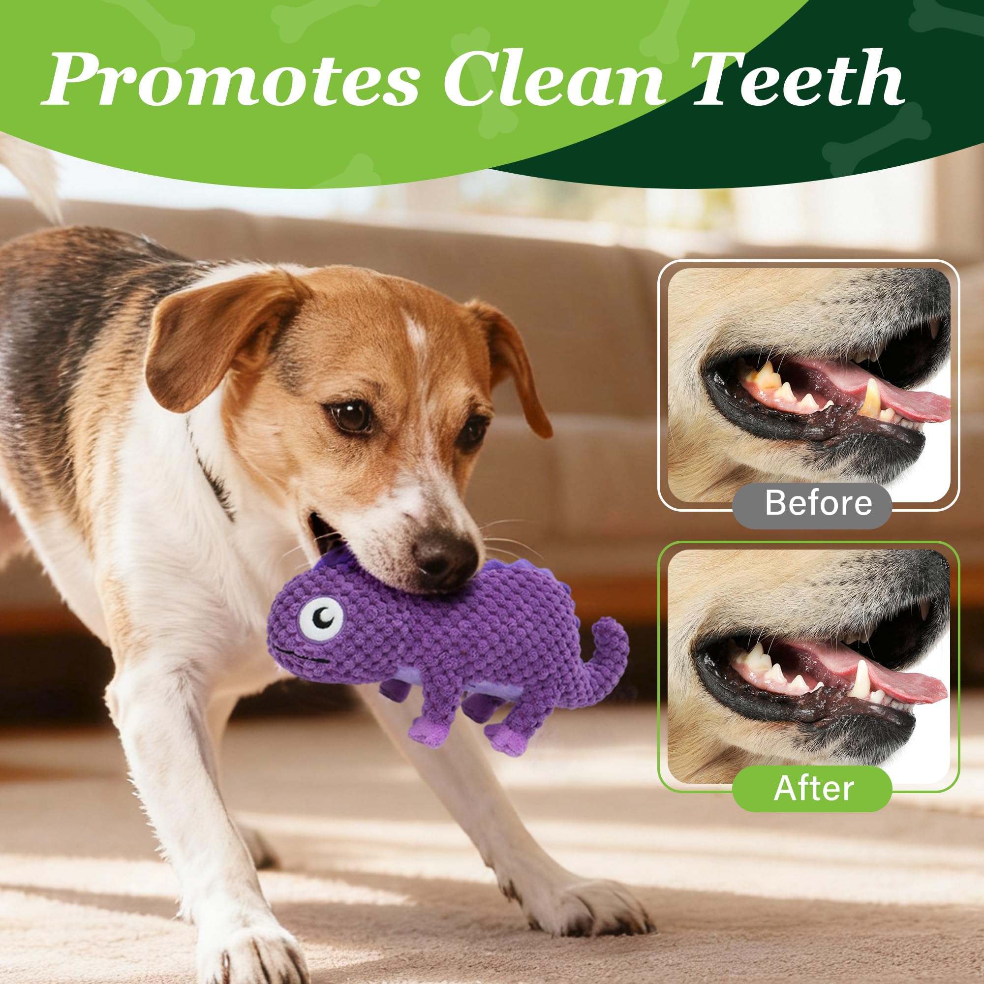 PrimePets caméléon violet couleurs vives stimulant l'attention du chien
