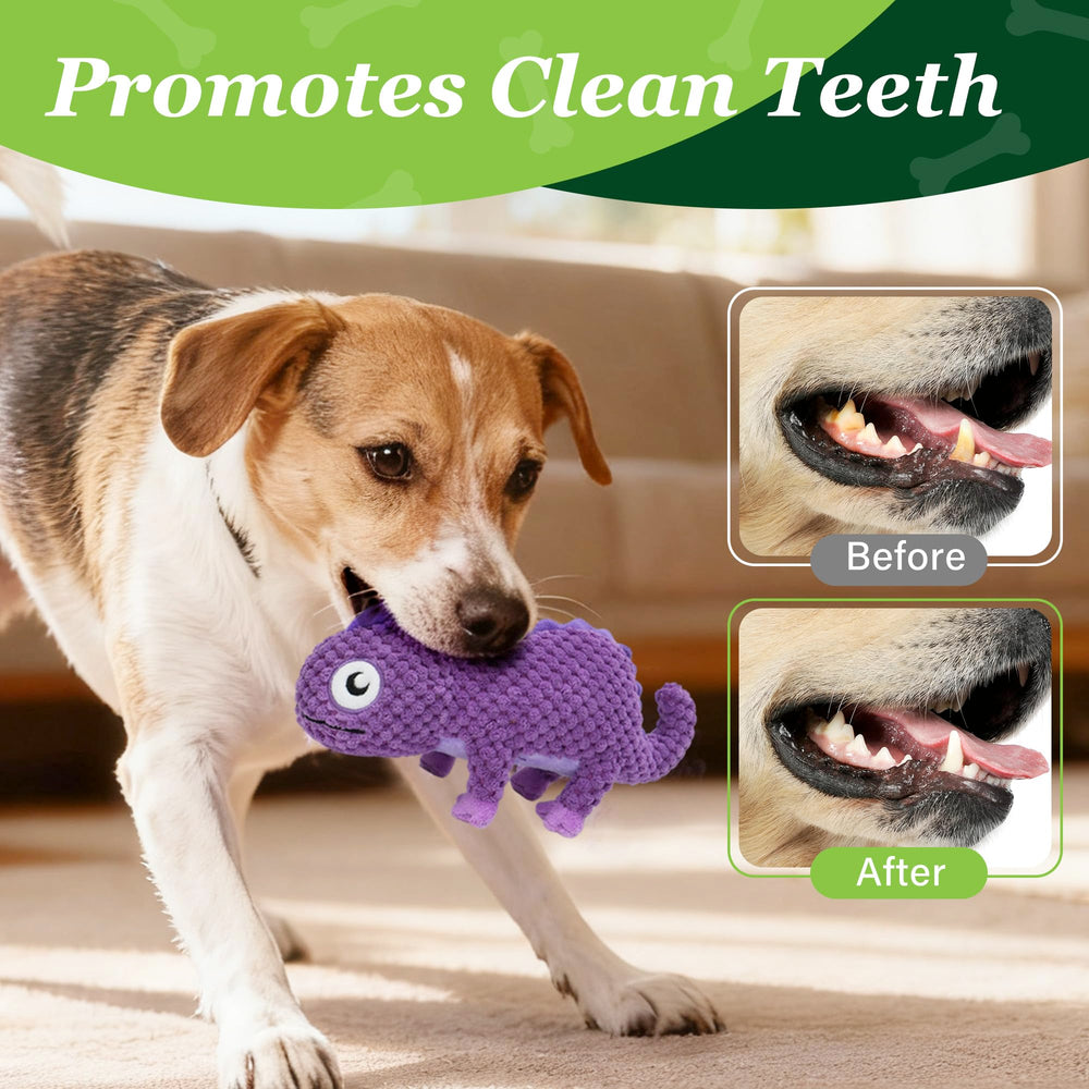 PrimePets caméléon violet couleurs vives stimulant l'attention du chien