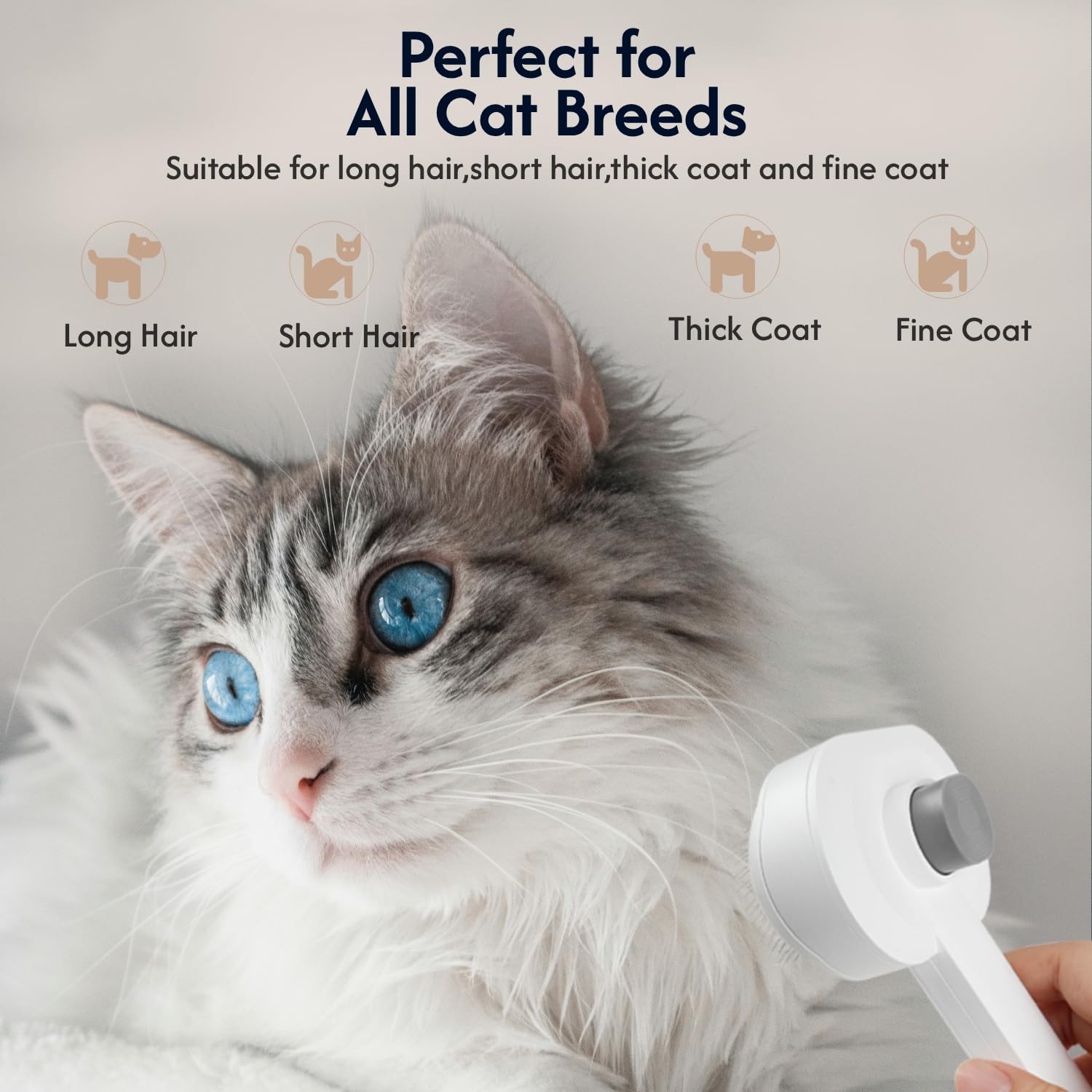 PrimePets emballage et accessoires kit complet pratique