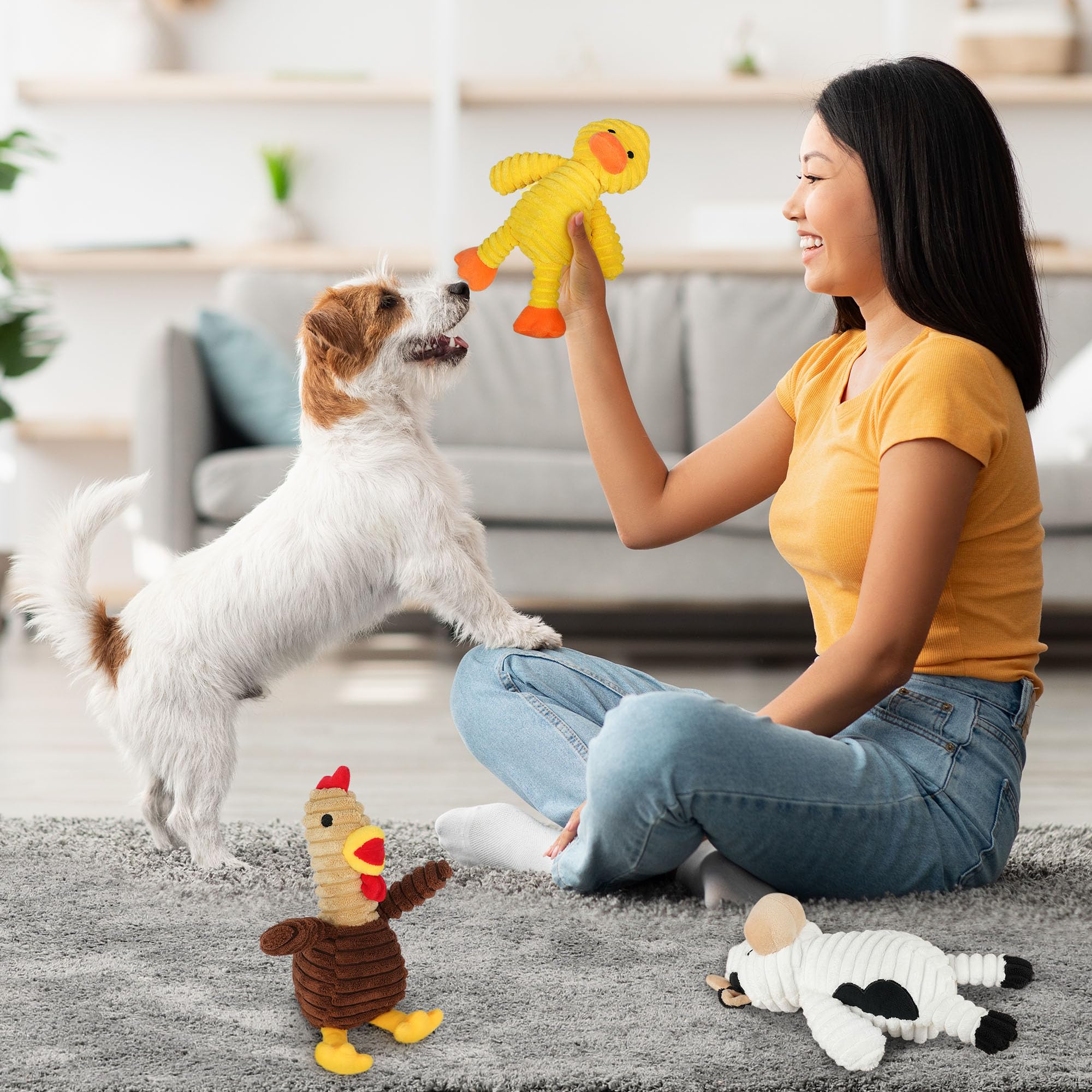 PrimePets ensemble cinq jouets sur tapis facile à nettoyer