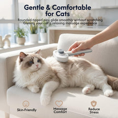 PrimePets peigne fin et étui organisent le rangement hygiénique