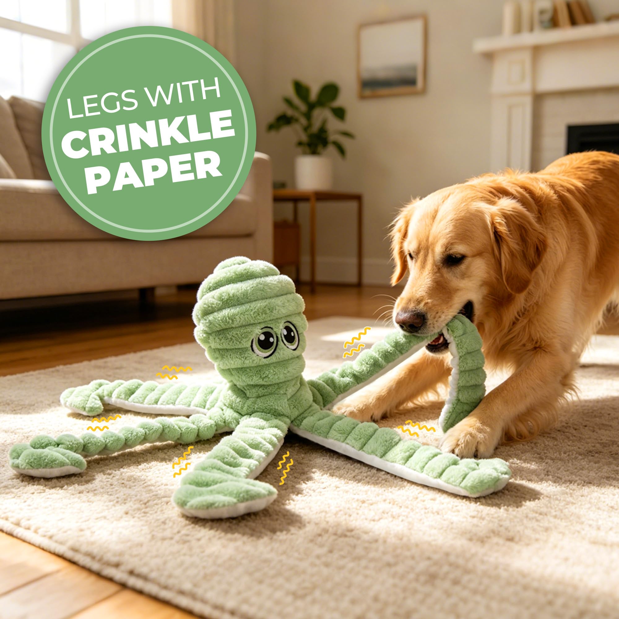 PrimePets chien attrapant la pieuvre en plein lancer, encourage exercice
