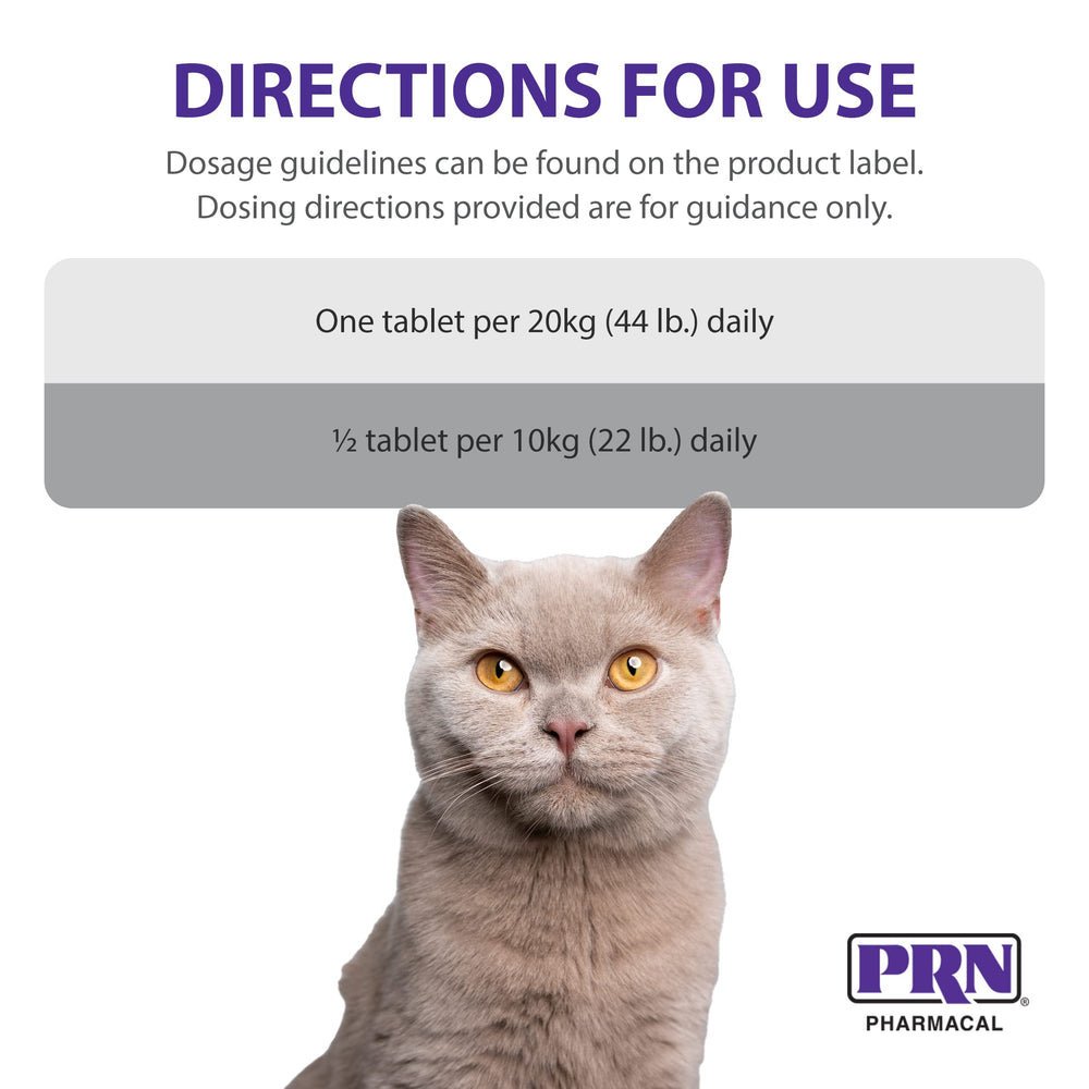 PRN CranMate offert à un chat, démontrant compatibilité et appétence pour félins