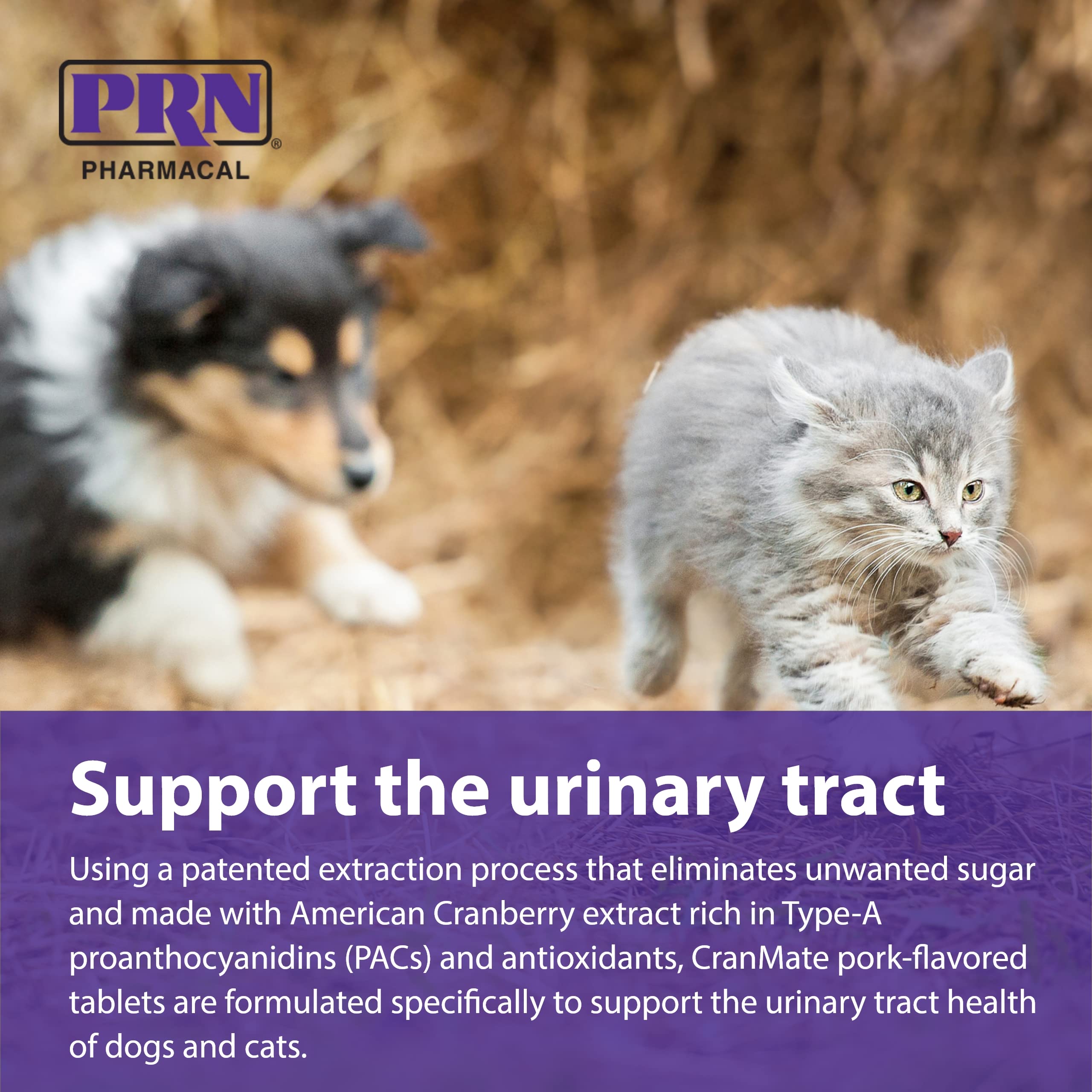 PRN CranMate donné à un chien, image montrant facilité d’acceptation et appétence