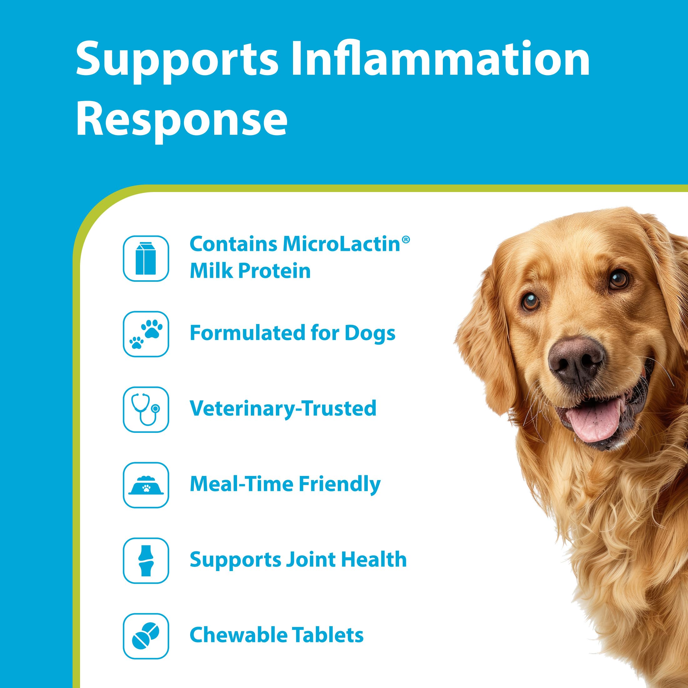 Gros plan sur comprimés PRN Duralactin montrant texture mastiquable et appétence