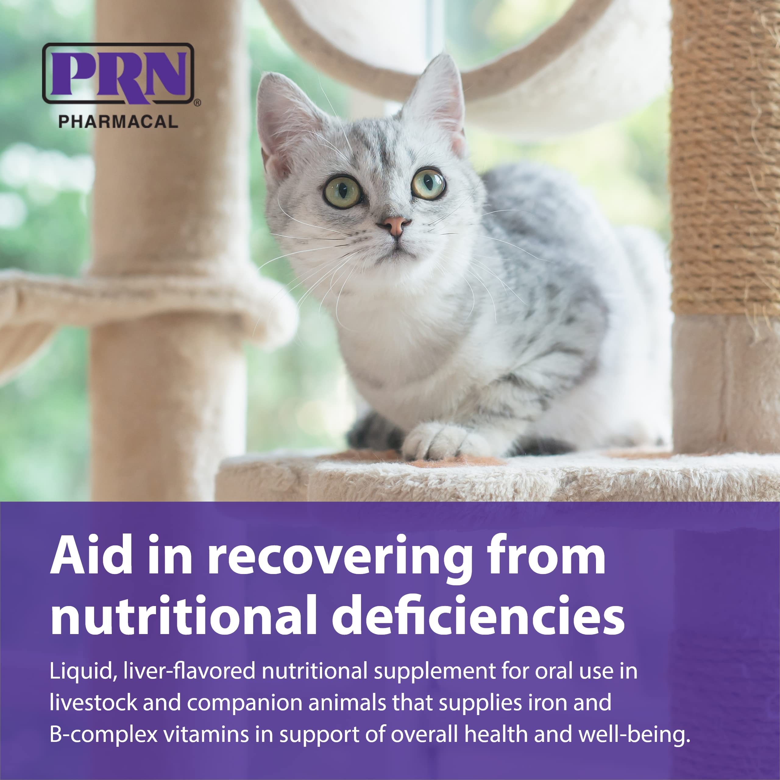 PRN Liqui-Tinic mélangé à la nourriture de chat montrant meilleure acceptation et appétence