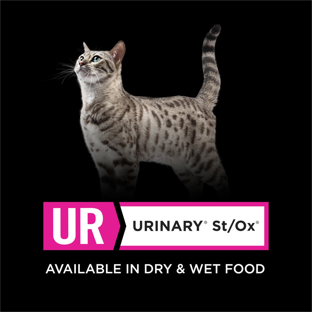 Pro Plan Veterinary Diets Purina chat mange la pâtée soutenant hydratation