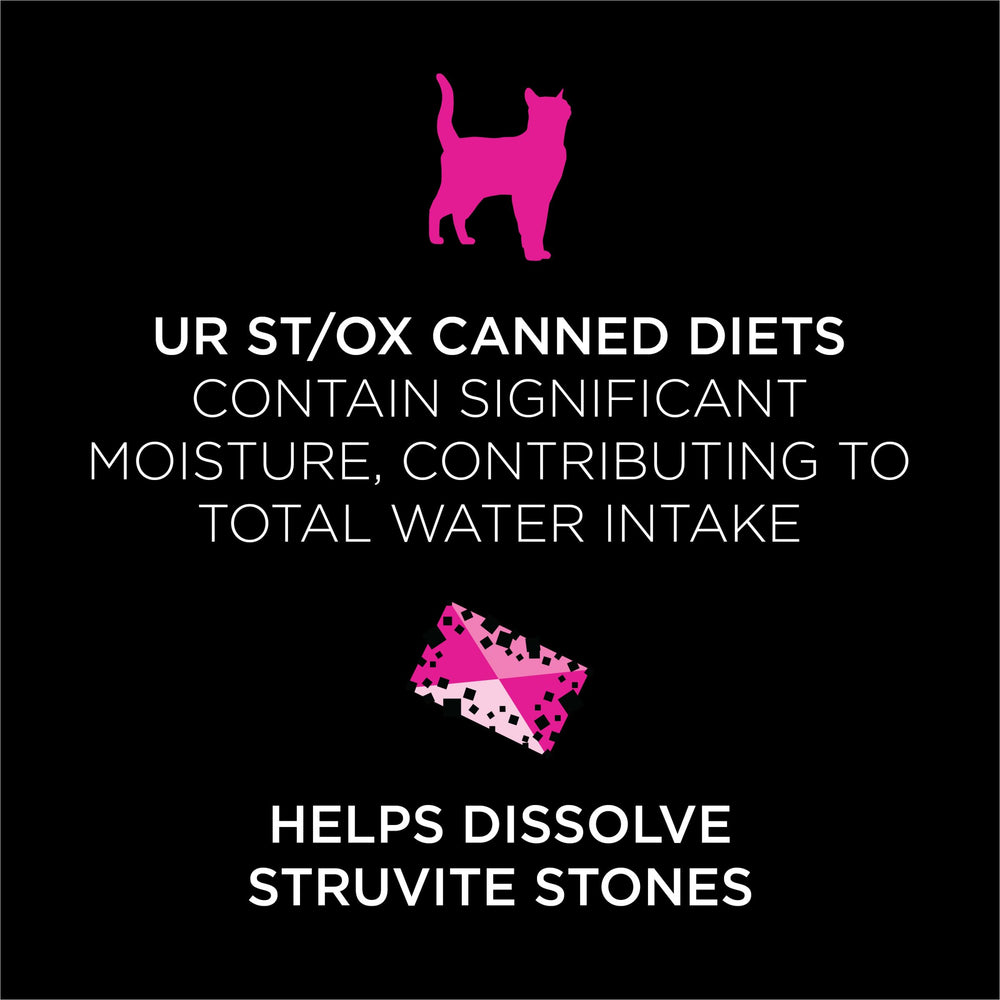 Pro Plan Veterinary Diets Purina gros plan texture pâtée favorisant appétence