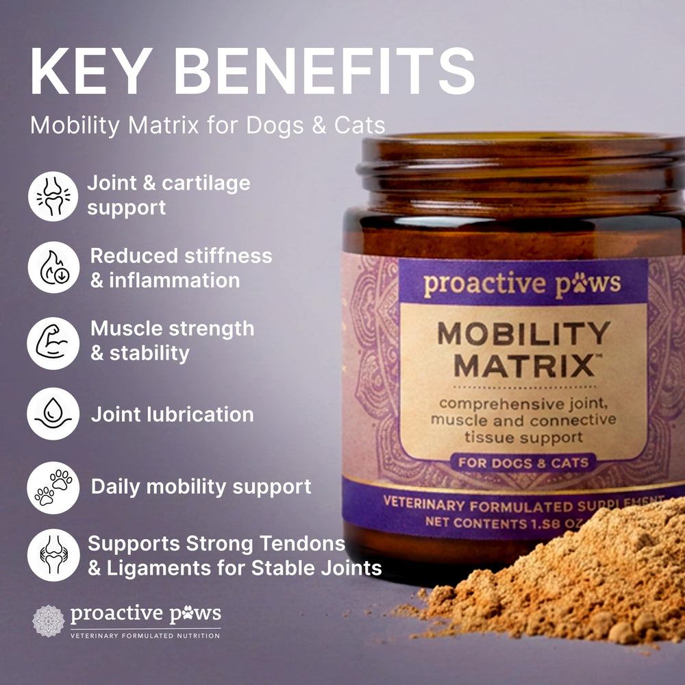 Proactive Paws pot à côté d’un ruban métrique pour échelle et dosage