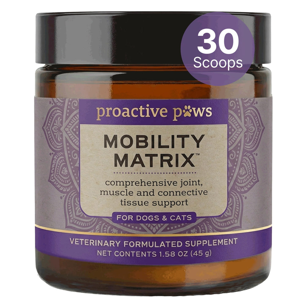 Proactive Paws emballage frontal montrant le pot et bénéfice pratique