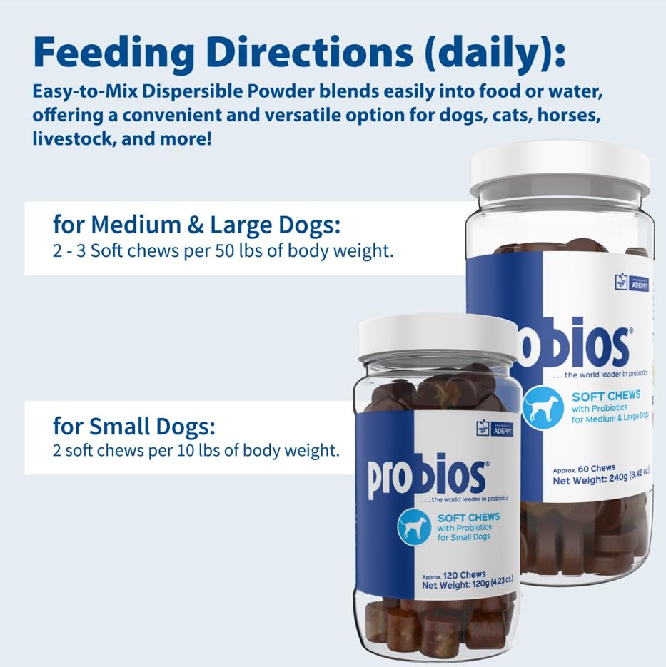 Probios donner au chien utilisation simple comme récompense quotidienne