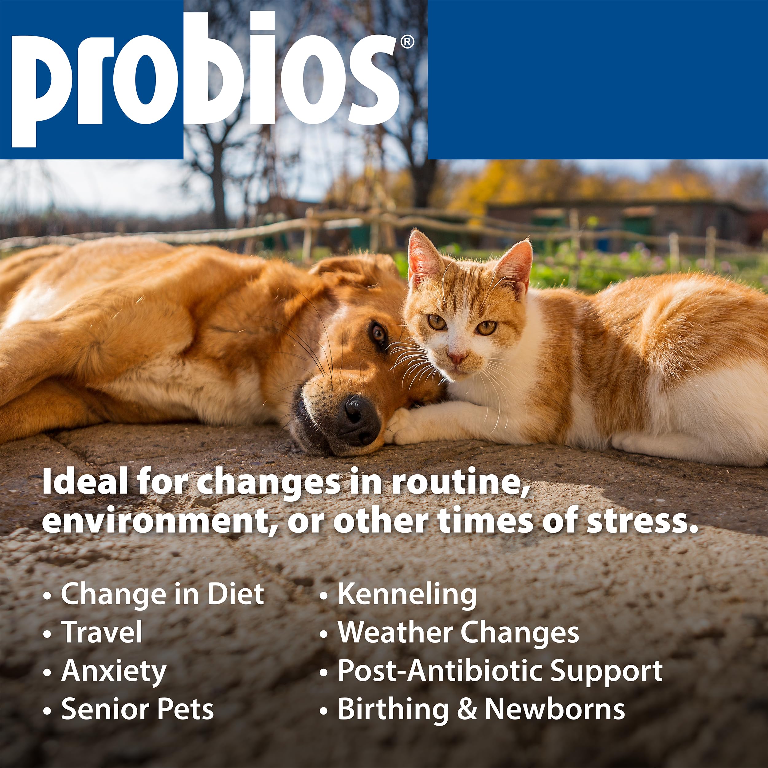 Probios étiquette ingrédients montrant souches probiotiques et qualité