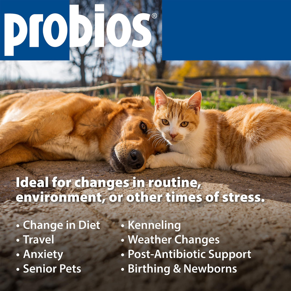 Probios étiquette ingrédients montrant souches probiotiques et qualité